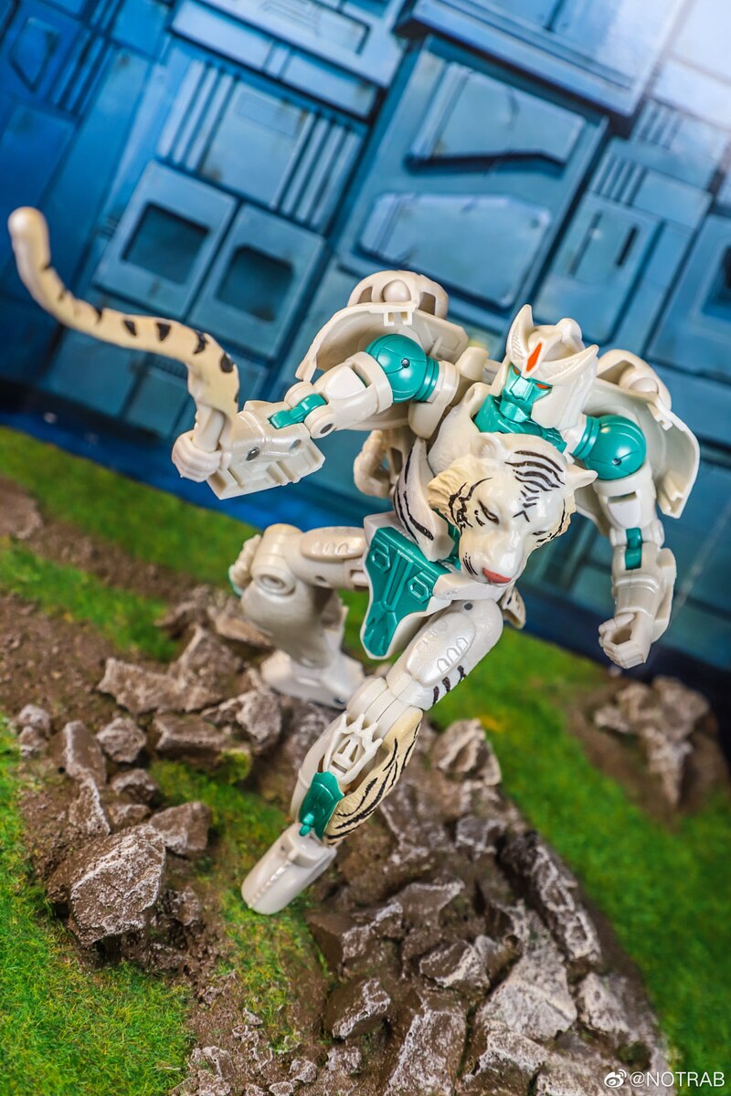 tigatron kingdom toy